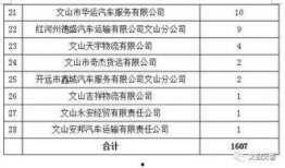 文山最新爆料台,揭秘幕后真相，带你走进事件核心