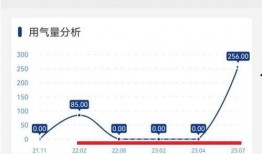 长春客服最新爆料信息,揭秘城市服务背后的故事